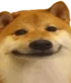 doggy