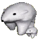bear_son