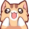 woahkitty