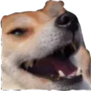 tj_w_hahadog Discord Emoji