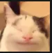 whatthe