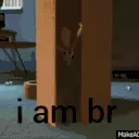 BB_toonWoodybrazilians