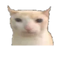 NT_Mengsad