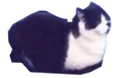 ye
