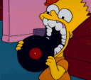 bortvinyl