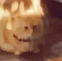 firekitty