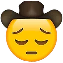 y_emojiSadCowboy y_emojiSadCowboy