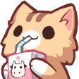 catsip Discord emoji