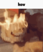 ezgif