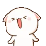 cc_Rawr