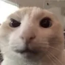 ky