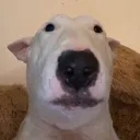 walterwtf