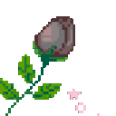 4799rosegray