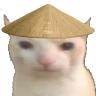 siopaoo Discord emoji