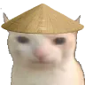 siopaoo siopaoo