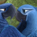 Bluandjewel Discord emoji