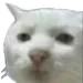 dafuc dafuc