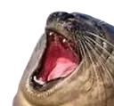 LaughingSeal