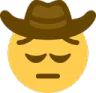 cowboypensive