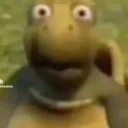 shock