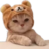 sadcat Discord Emoji
