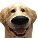 oxy