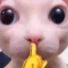aa_nn Discord emoji