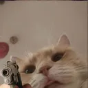 kitty_gun_shootout