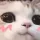 NW_cutekitty