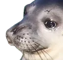 PainSeal