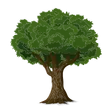ATMOTree