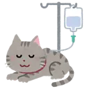 nekoheal