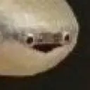 youwhat