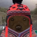 modoperuano modoperuano