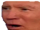 bidenpog