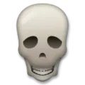 skull skull