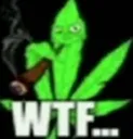 m_wtf