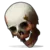 r_Skull r_Skull