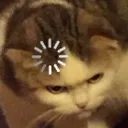 catloading