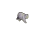 cat_run