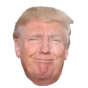 trumpsmug