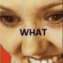 meme_thewhat