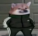 SlavCheems