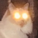 monty Discord emoji