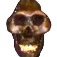 skull112