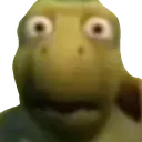 ShockedTurtle ShockedTurtle