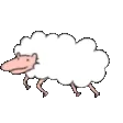 SHEPBUG