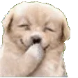 HEHEHE