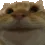 yes