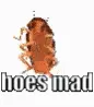 HoesMad